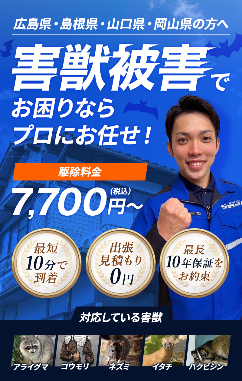 広島県・島根県・山口県・岡山県の方へ 害獣被害でお困りならプロにお任せ！ 駆除料金7,700円～（税込） 【対応している害獣】ネズミ・イタチ・ハクビシン・タヌキ・アナグマ・アライグマ・コウモリ・テン