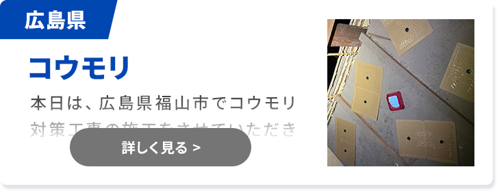 対象害獣：コウモリ 広島県