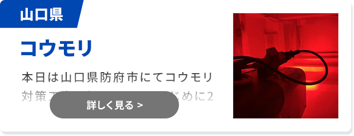 対象害獣：コウモリ 山口県