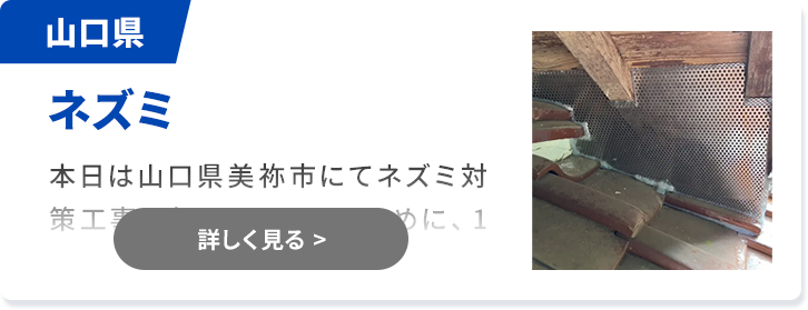 対象害獣：ネズミ 山口県