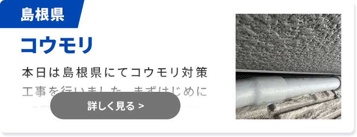 対象害獣：ハクビシン 島根県