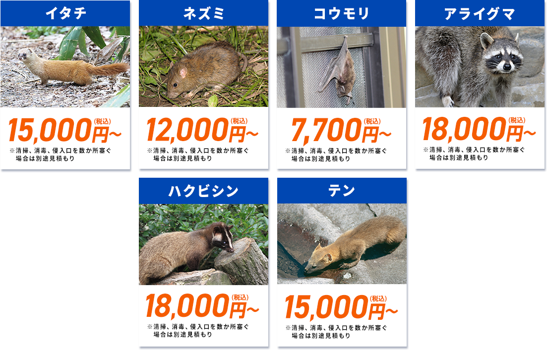 こちらの害獣の他にも様々な害獣・害虫駆除に対応しています。ネズミ12,000円(税込)～イタチ15,000円(税込)～ハクビシン18,000円(税込)～タヌキ18,000円(税込)～アナグマ18,000円(税込)～アライグマ18,000円(税込)～コウモリ9,800円(税込)～テン15,000円(税込)～※清掃、消毒、侵入口を数か所塞ぐ場合は別途見積もり