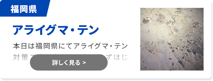対象害獣：アライグマ・テン 福岡県