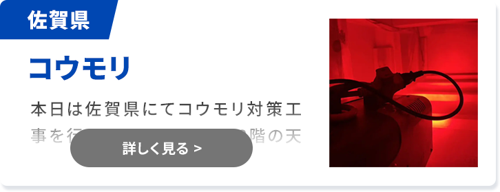 対象害獣：コウモリ 大分県