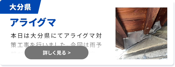 対象害獣：コウモリ 熊本県
