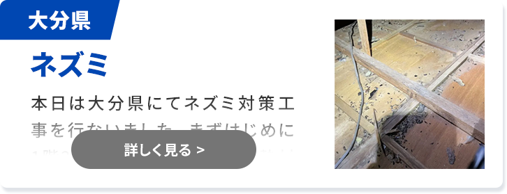 対象害獣：ネズミ 熊本県