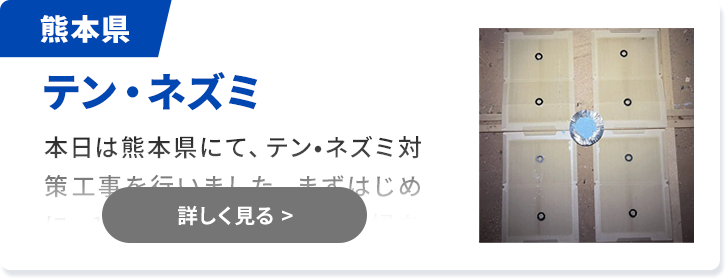 対象害獣：コウモリ 佐賀県