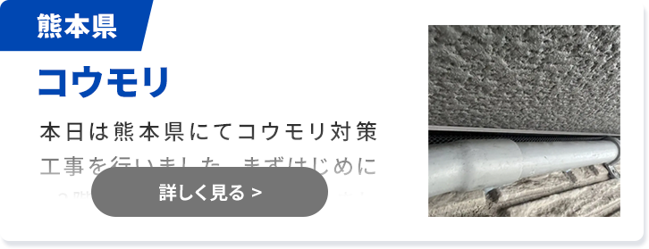 対象害獣：ハクビシン 佐賀県