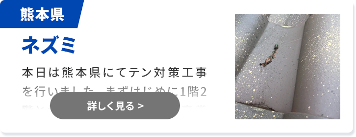 対象害獣：ネズミ 佐賀県