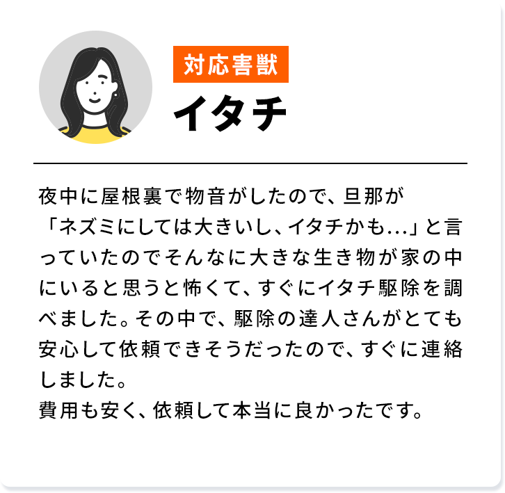 対応害獣：イタチ 夜中に屋根裏で物音がしたので、旦那が「ネズミにしては大きいし、イタチかも...」と言っていたのでそんなに大きな生き物が家の中にいると思うと怖くて、すぐにイタチ駆除を調べました。その中で、駆除の達人さんがとても安心して依頼できそうだったので、すぐに連絡しました。費用も安く、依頼して本当に良かったです。