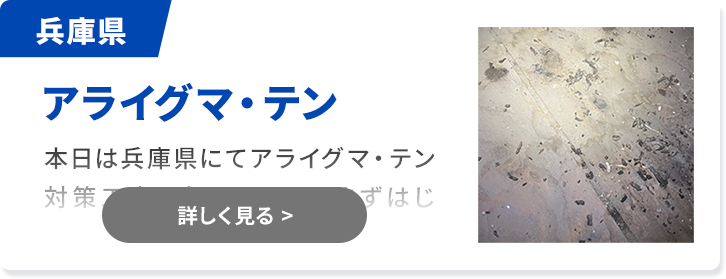 対象害獣：アライグマ・テン 兵庫県