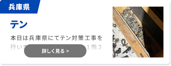 対象害獣：テン 兵庫県