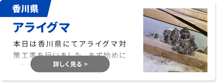 対象害獣：コウモリ 香川県