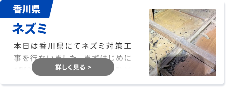 対象害獣：ハクビシン 香川県