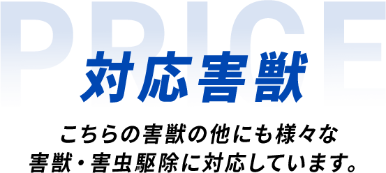 対応害獣