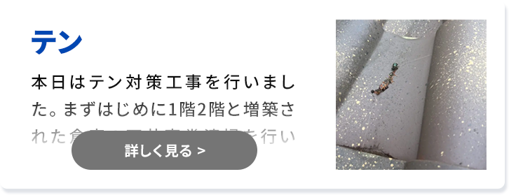 対象害獣：テン