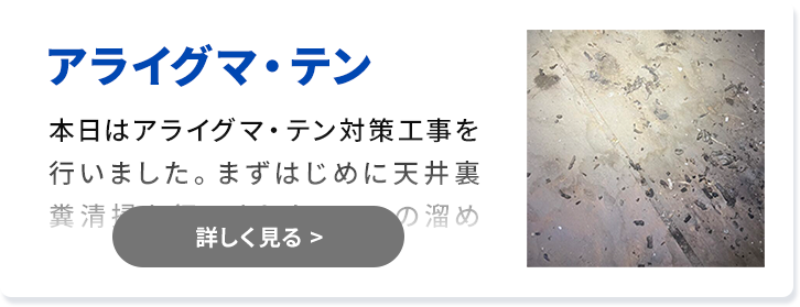 対象害獣：アライグマ・テン