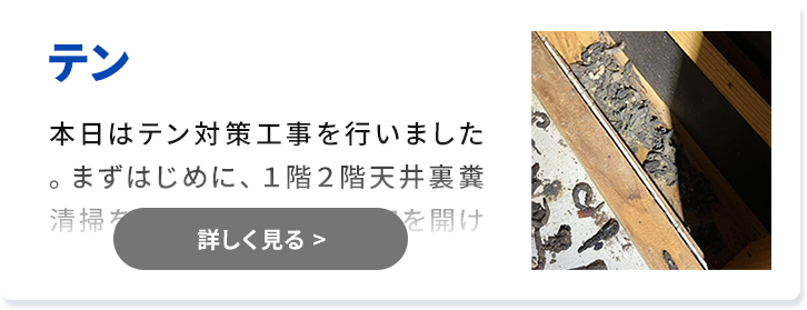 対象害獣：テン