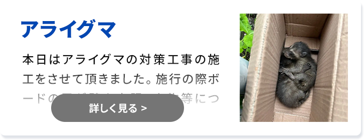 対象害獣：アライグマ