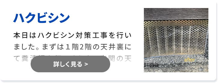 対象害獣：ハクビシン