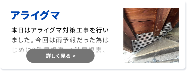 対象害獣：アライグマ