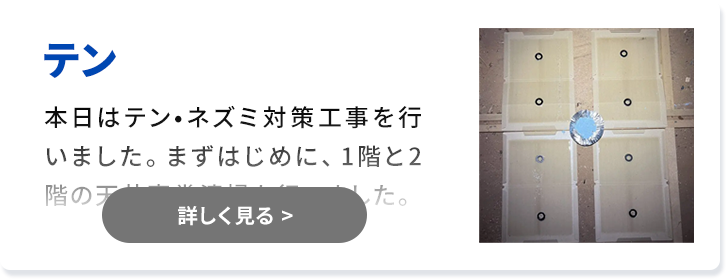 対象害獣：テン