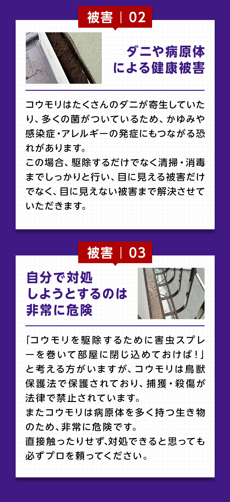 被害2：ダニや病原体による健康被害、被害３：自分で対処しようとするのは非常に危険