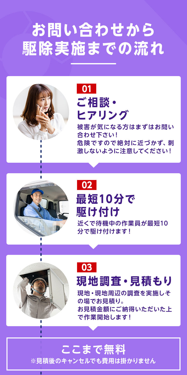 お問い合わせから駆除実施までの流れ 01.ご相談・ヒアリング02.最短10分で駆け付け03.現地調査・見積もり　ここまで無料※見積もり後のキャンセルでも費用はかかりません。