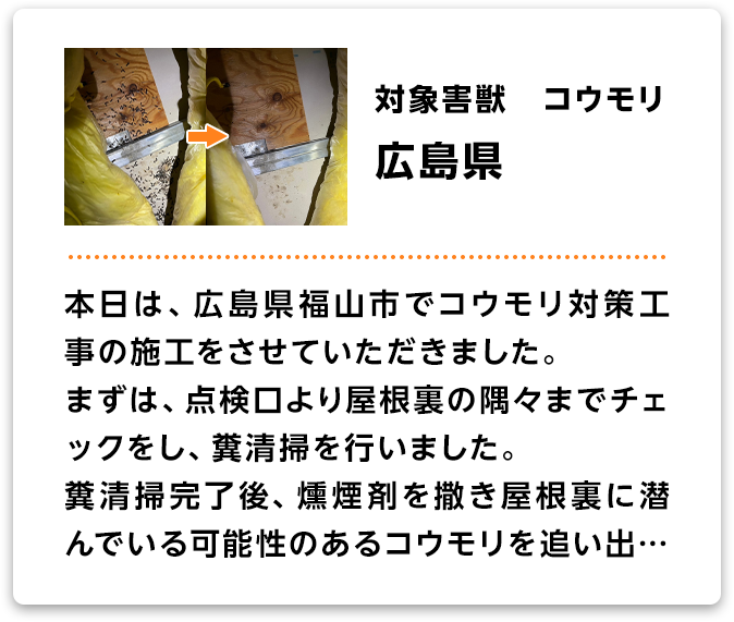 対象害獣：コウモリ　広島県 本日は、広島県福山市でコウモリ対策工事の施工をさせていただきました。まずは、点検口より屋根裏の隅々までチェックをし、糞清掃を行いました。糞清掃完了後、燻煙剤を撒き屋根裏に潜んでいる可能性のあるコウモリを追い出…