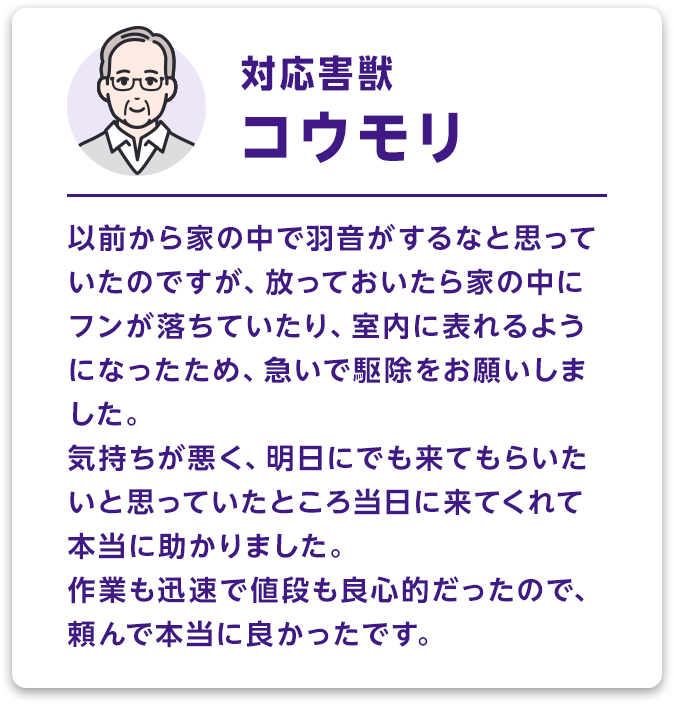 対応害獣：コウモリ 以前から家の中で羽音がするなと思っていたのですが、放っておいたら家の中にフンが落ちていたり、室内に表れるようになったため、急いで駆除をお願いしました。気持ちが悪く、明日にでも来てもらいたいと思っていたところ当日に来てくれて本当に助かりました。作業も迅速で値段も良心的だったので、頼んで本当に良かったです。