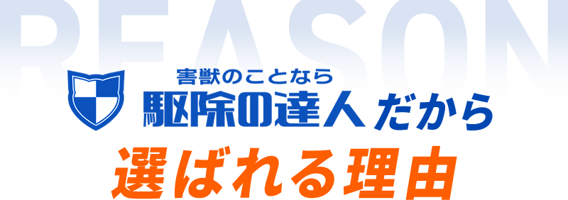 駆除の達人だから選ばれる理由