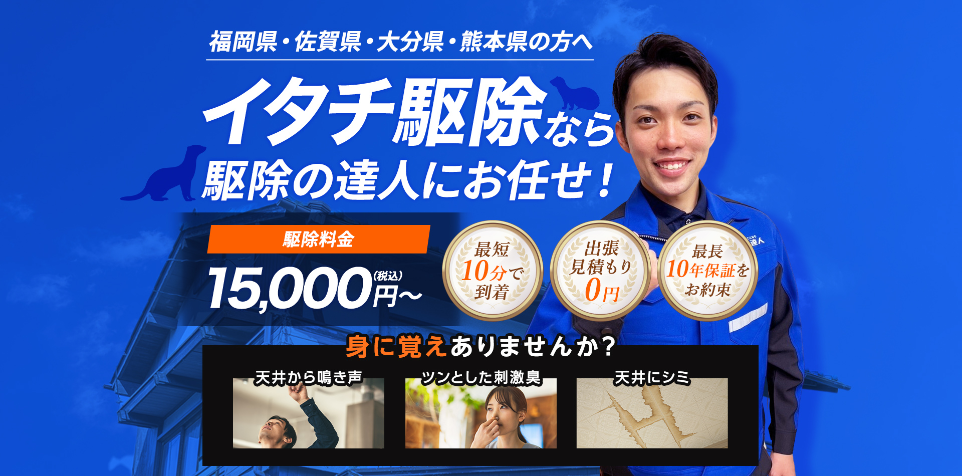福岡県・佐賀県・大分県・熊本県の方へ イタチ駆除なら駆除の達人にお任せ！ 駆除料金15,000円～（税込）