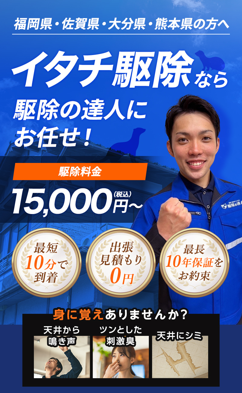 福岡県・佐賀県・大分県・熊本県の方へ イタチ駆除なら駆除の達人にお任せ！ 駆除料金15,000円～（税込）