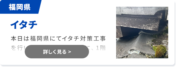 対象害獣：イタチ 大分県