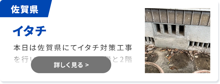 対象害獣：イタチ 佐賀県