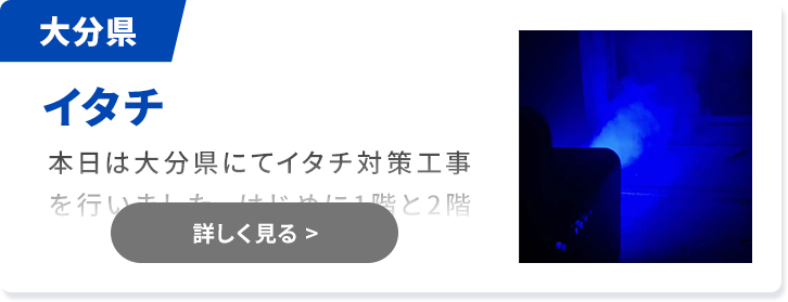 対象害獣：イタチ 福岡県