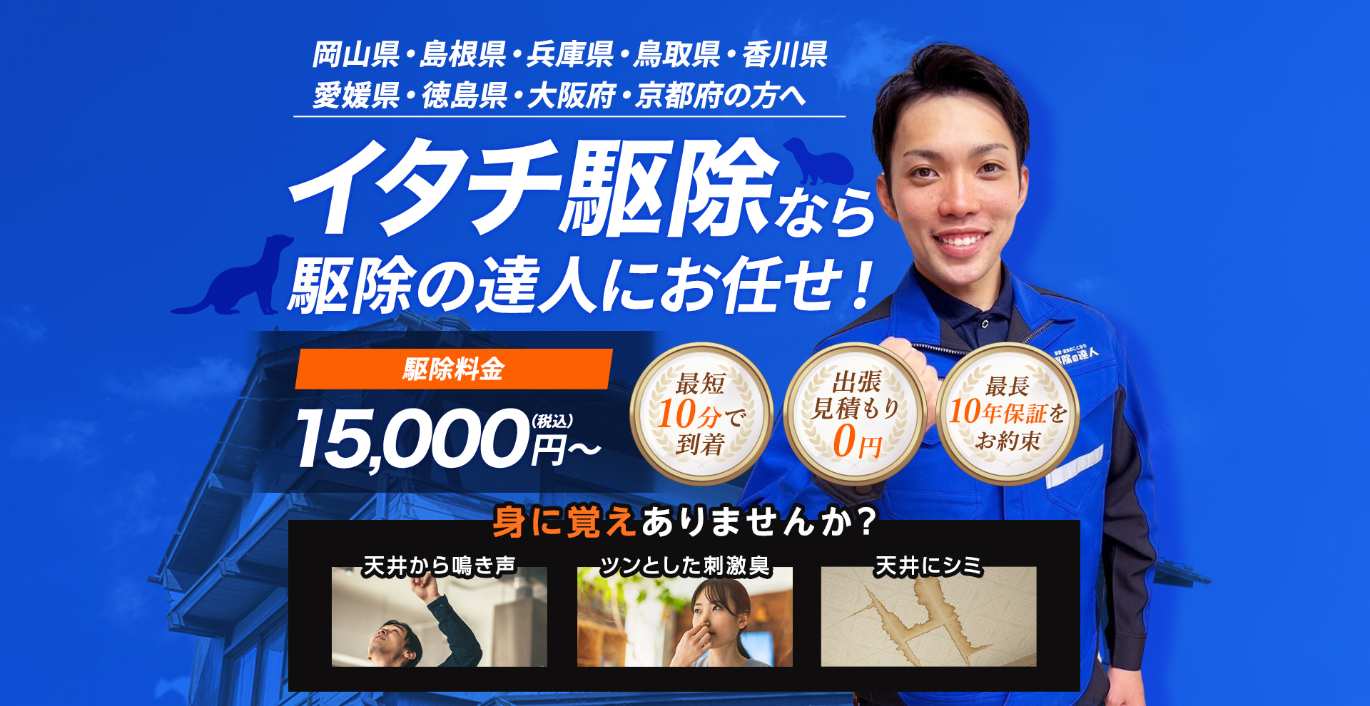 岡山県・島根県・兵庫県・鳥取県・香川県・愛媛県・徳島県・大阪府・京都府の方へ イタチ駆除なら駆除の達人にお任せ！ 駆除料金15,000円～（税込）