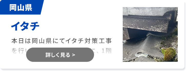 対象害獣：イタチ 徳島県