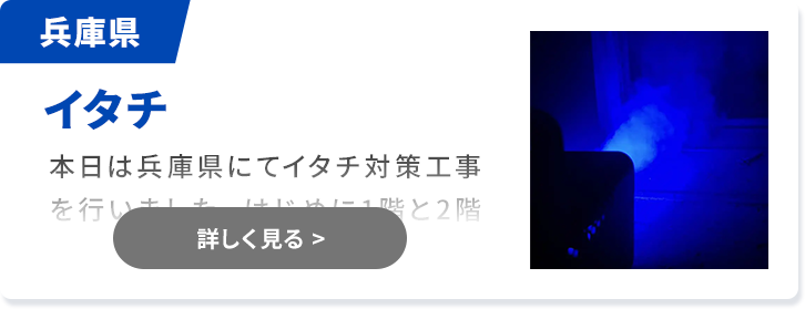 対象害獣：イタチ 愛媛県