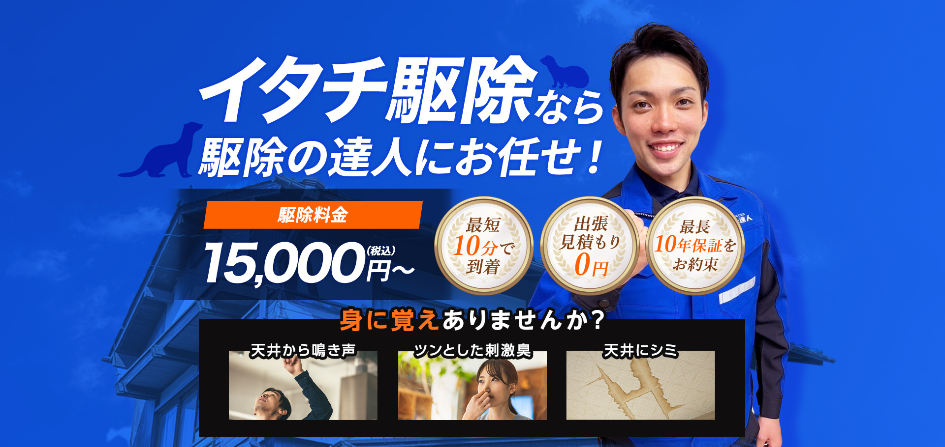 イタチ駆除なら駆除の達人にお任せ！ 駆除料金15,000円～（税込）