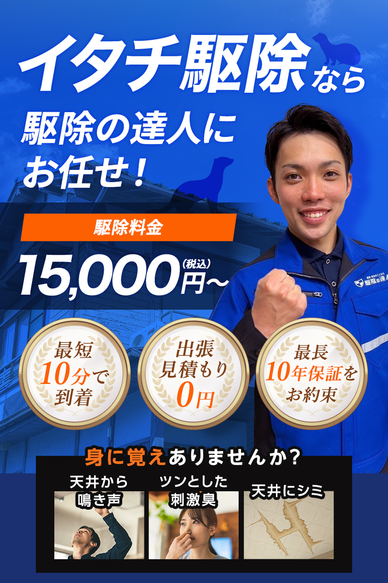 イタチ駆除なら駆除の達人にお任せ！ 駆除料金15,000円～（税込）