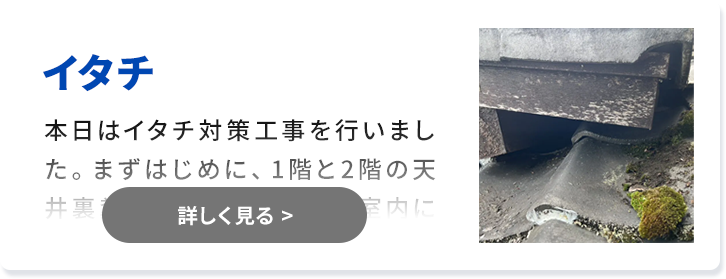 対象害獣：イタチ