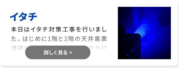 対象害獣：イタチ