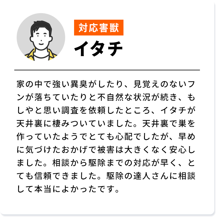 対応害獣：ハクビシン 山が近く、近所で害獣被害が出ていたのでとりあえず調査を依頼しました。出張・見積までも無料でしてくれるとのことだったので早速駆除の達人さんに依頼しました。見てもらったところ姿は見えなかったものの床下にハクビシンの巣を発見。巣を掃除してもらい、すぐに侵入口をふさいでもらいました。