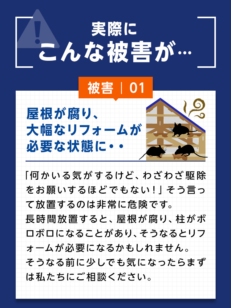 実際にこんな被害が…被害1.屋根が腐り大幅なリフォームが必要な状態に…