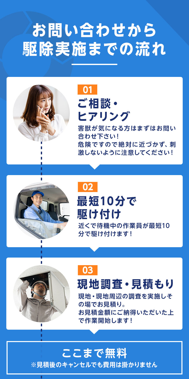 お問い合わせから駆除実施までの流れ 01.ご相談・ヒアリング02.最短10分で駆け付け03.現地調査・見積もり　ここまで無料※見積もり後のキャンセルでも費用はかかりません。