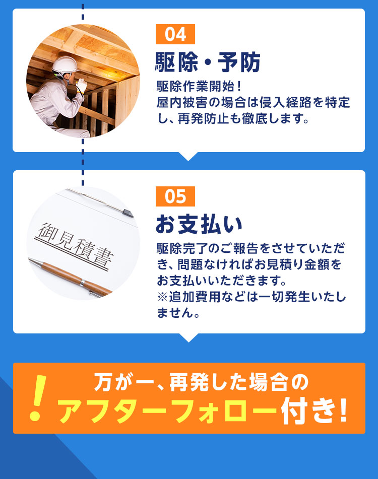 04.駆除・予防05.お支払い　万が一、再発した場合のアフターフォロー付き！