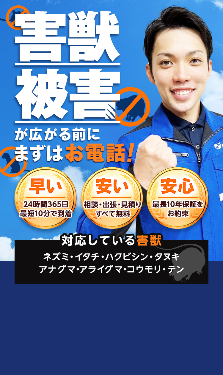 害獣被害が広がる前にまずはお電話！早い　24時間365日最短10分で到着　安い　相談・出張・見積もりすべて無料　安心　害獣のプロが確実に仕留める【対応している害獣】ネズミ・イタチ・ハクビシン・タヌキ・アナグマ・アライグマ・コウモリ・テン