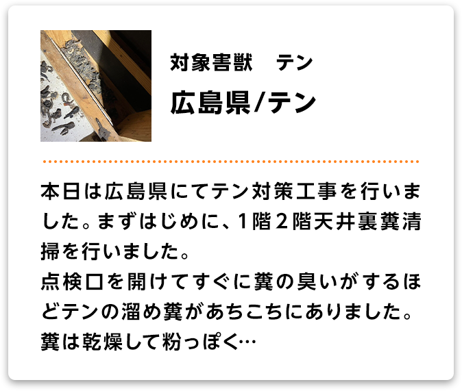 対象害獣：テン　広島県/テン　本日は広島県にてテン対策工事を行いました。まずはじめに、１階２階天井裏糞清掃を行いました。点検口を開けてすぐに糞の臭いがするほどテンの溜め糞があちこちにありました。糞は乾燥して粉っぽく…