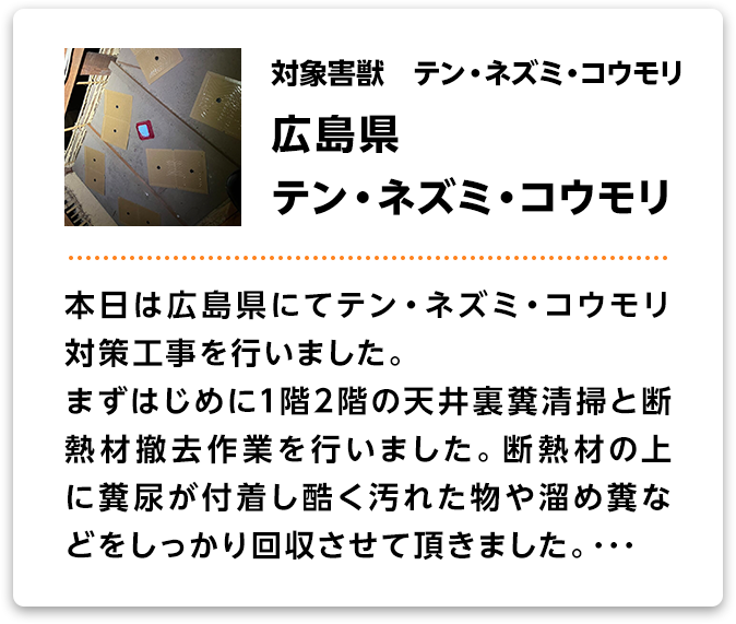 対象害獣：アライグマ・テン　島根県/アライグマ・テン　本日は島根県にてアライグマ・テン対策工事を行いました。まずはじめに天井裏糞清掃を行いました。テンの溜め糞とアライグマの溜め本日は福岡県田川郡にてアライグマ・テン対策工事を行いました。まずはじめに天井裏糞清掃を行いました。テンの溜め糞とアライグマの溜め･･･